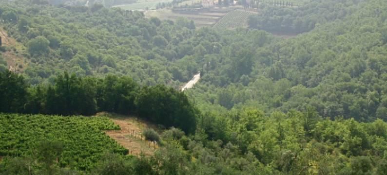 威驰优玛叶儿城堡酒店(Castello Vicchiomaggio)图片