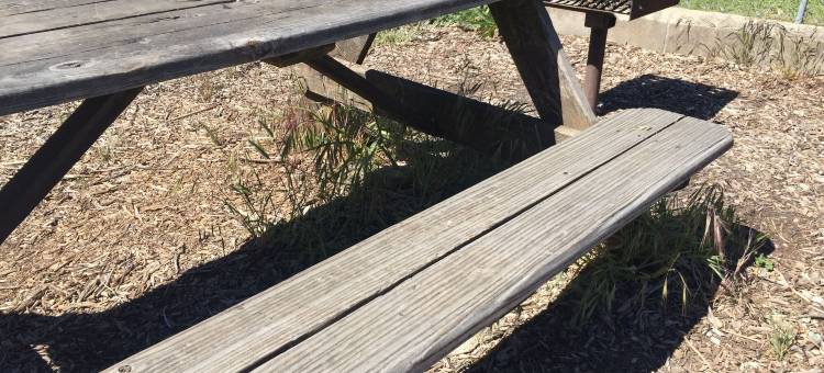 克利尔莱克Travelodge by Wyndham(Travelodge by Wyndham Clearlake)图片