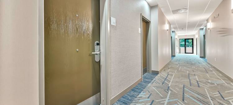 Holiday Inn Express 帕勒斯坦(Holiday Inn Express Palestine)图片