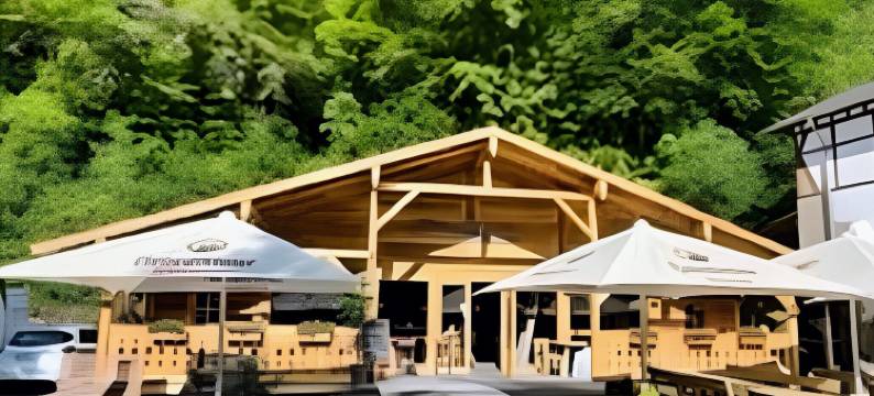 林格斯汀讷木勒兰德酒店(Landhotel Ringelsteiner Mühle)图片