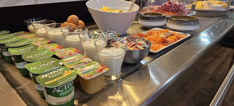 普莱森斯布里特酒店(Brit Hotel Plaisance A9/A61)图片