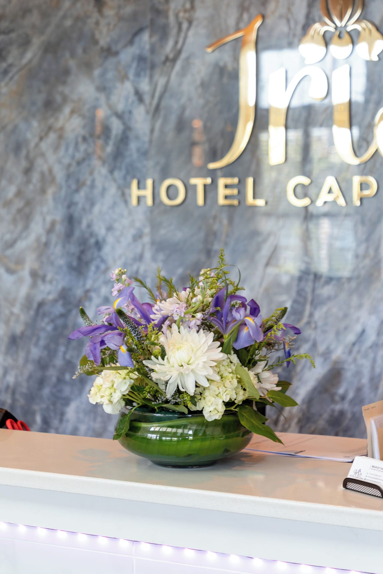 Iris Hotel Cape Cod Over view