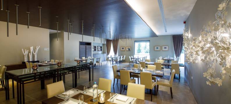 多莫特尔卡斯特里酒店(Domotel Kastri)图片