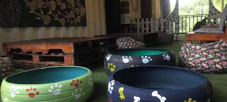 集装箱生态酒店(Containers by Eco Hotel)图片