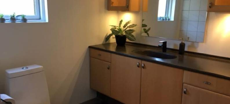 Søndervang别墅(Villa Søndervang)图片