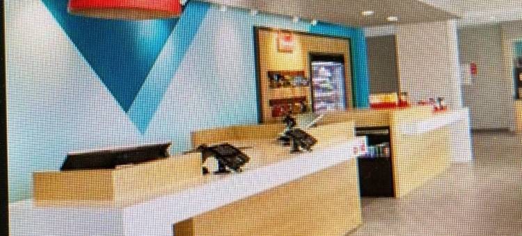 西孟菲斯avid酒店(avid hotel West Memphis)图片