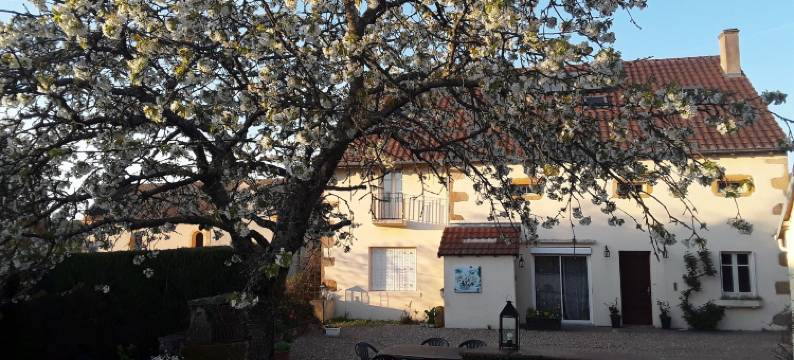 埃斯坎佩特酒店(L'Escampette)图片