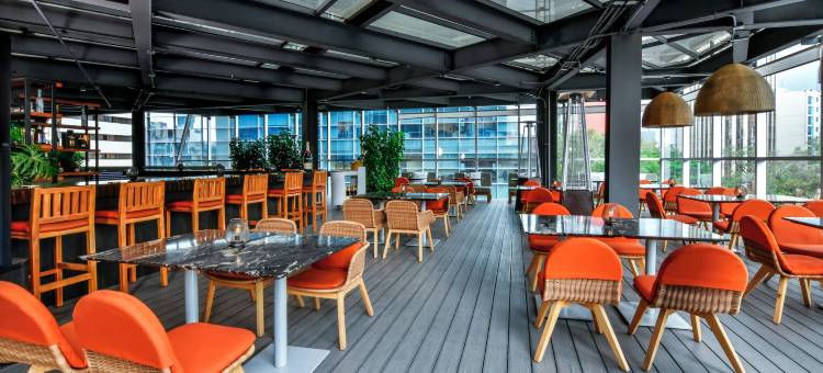 墨西哥城 Insurgentes 凯悦酒店(Hyatt Regency Mexico City Insurgentes)图片