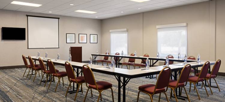 圣彼得堡北(I-275)智选假日酒店(Holiday Inn Express & Suites ST. Petersburg North (I-275))图片