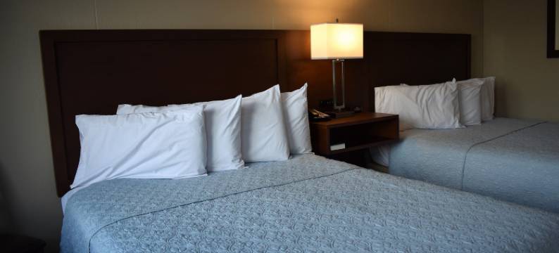 灯塔景观汽车旅馆(Lighthouse View Motel)图片