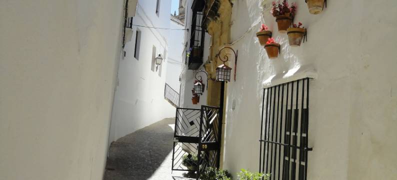 拉卡萨格兰德酒店(La Casa Grande)图片