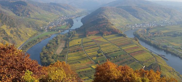 伯格酒庄酒店(Weinhaus Berg)图片