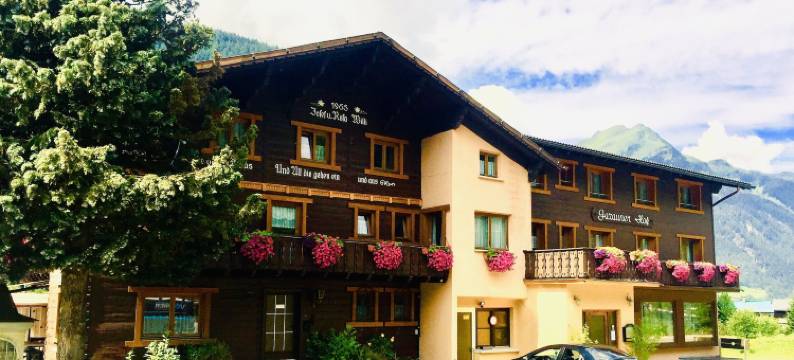 加佐内霍夫酒店(Gazauner Hof)图片