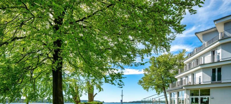 穆利兹帕里酒店(Müritzpalais)图片