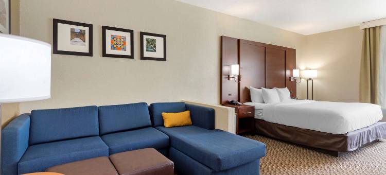 靠近六旗及医疗中心舒适酒店及套房(Comfort Inn & Suites Near Six Flags & Medical Center)图片