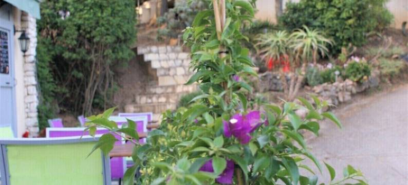 美丽之岛民宿(Chambres d'hôtes Île de Beauté)图片