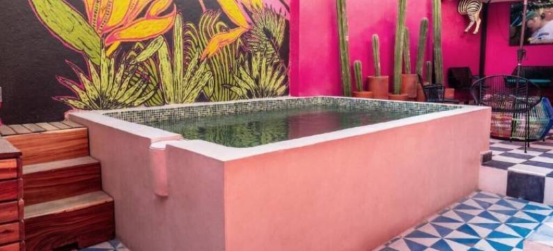 加利福尼亚塔拉克帕克旅馆(Homestal California Hostal en Tlaquepaque)图片