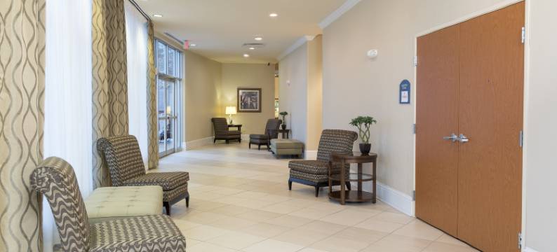 Holiday Inn 奥罗拉北，内珀维尔(Holiday Inn AURORA NORTH- NAPERVILLE by IHG)图片