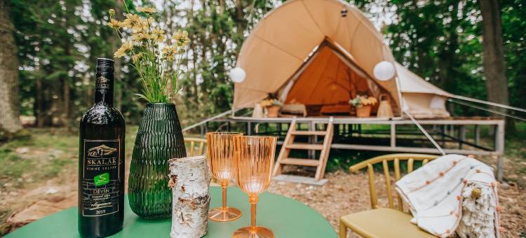 Černická obora豪华露营(Glamping Černická Obora)图片