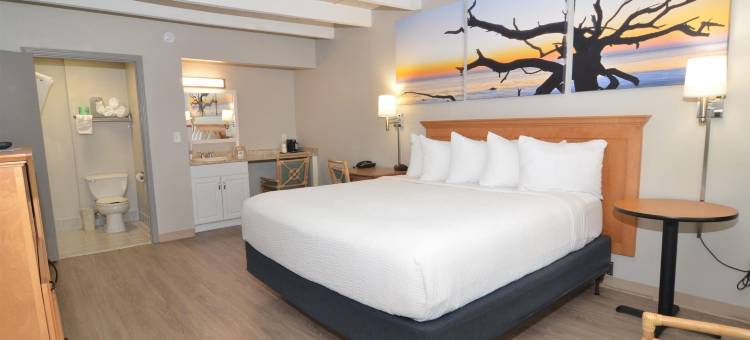 杰基尔岛戴斯套房酒店(Days Inn & Suites by Wyndham Jekyll Island)图片