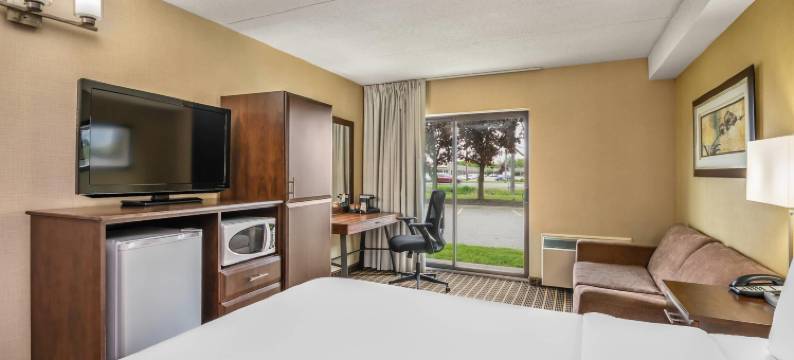 圭尔夫舒适酒店(Comfort Inn)图片