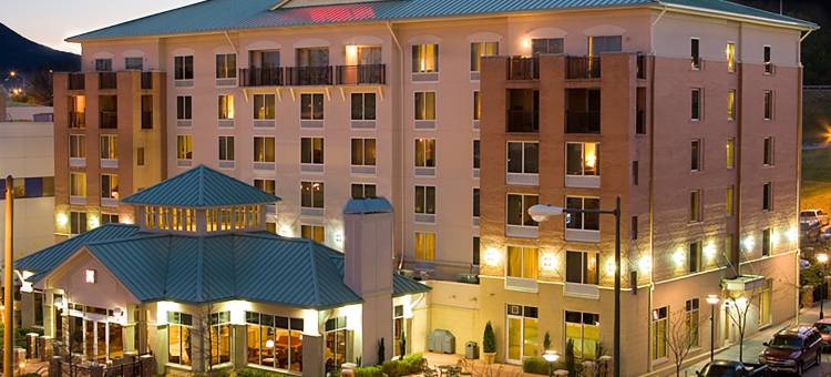 查塔努加会议中心希尔顿花园酒店(Hilton Garden Inn Chattanooga Downtown)图片