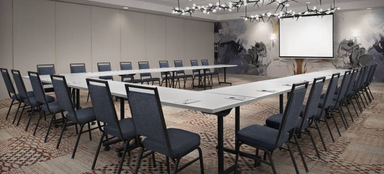 卡斯珀希尔顿花园旅馆(Hilton Garden Inn Casper)图片