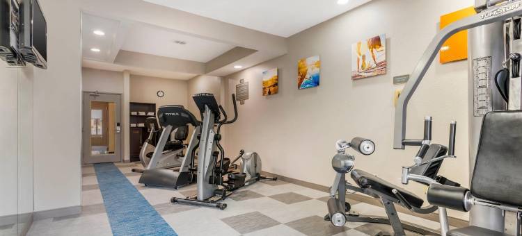 阿维烟酒店(Comfort Inn & Suites Saint Louis Lafayette Square)图片