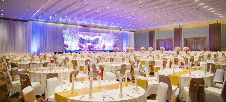 棉兰S山蒂卡首映酒店及会议(Santika Premiere Dyandra Hotel & Convention - Medan)图片