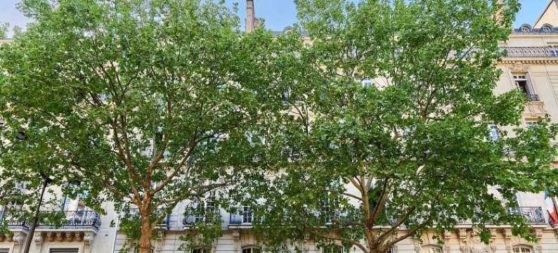 Superb apartment Arc de Triomphe/Trocadero图片
