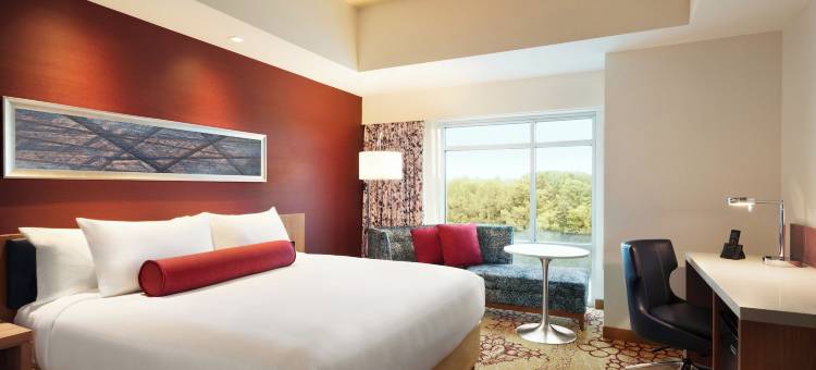 兰丁河滨娱乐场度假村酒店(The Landing Hotel at Rivers Casino & Resort)图片