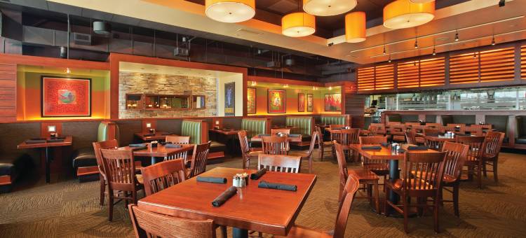 斯普林菲尔德希尔顿逸林酒店(DoubleTree by Hilton Hotel Springfield)图片