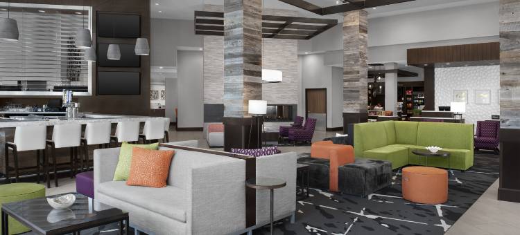 夏洛特韦弗利希尔顿花园酒店(Hilton Garden Inn Charlotte Waverly)图片