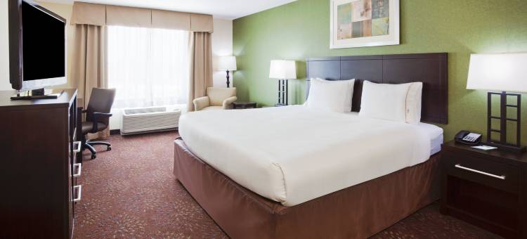 智选假日套房酒店罗切斯特(Holiday Inn Express & Suites Rochester – Mayo Clinic Area)图片