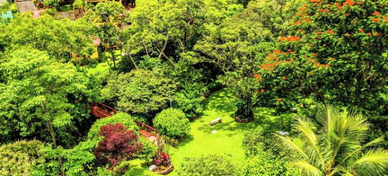 特拉萨旅馆民宿(La Terraza Guest House B&B)图片