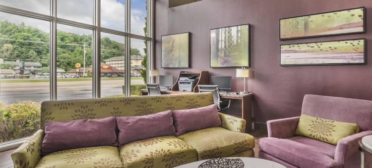 鸽子谷广场贝斯特韦斯特酒店(Best Western Plaza Inn)图片