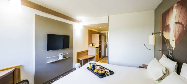 美居维埃纳省夏纳南部酒店(Hôtel Mercure Vienne Sud Chanas)图片