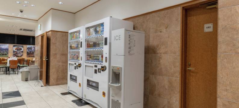 恩迪尔酒店岐阜(Hotel Endear Gifu)图片