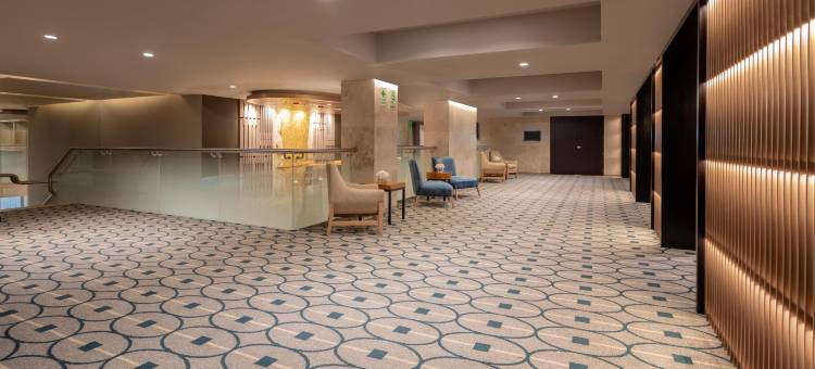 索内斯塔米拉弗洛雷斯酒店(Sonesta Hotel Miraflores)图片