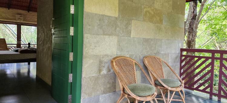 交谈树(Talking Trees)图片