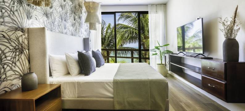 帕拉帕海滨酒店 - 限成人(Beachfront Hotel la Palapa - Adults Only)图片