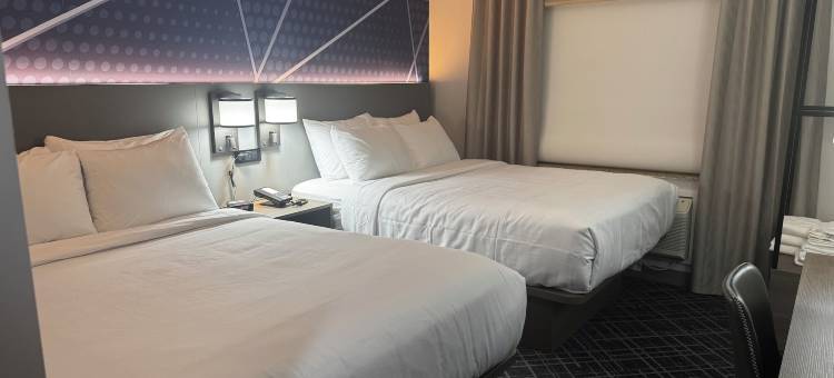 舒适酒店(Comfort Inn)图片