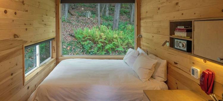 西卡茨基尔的明信片小屋，万豪旅享家户外系列(Postcard Cabins Western Catskills)图片