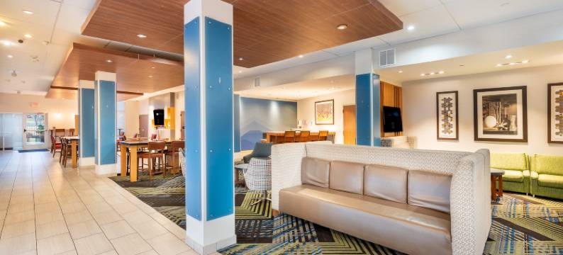 洲际酒店集团智选假日酒店及套房纳什维尔北 - 斯普林菲尔德(Holiday Inn Express & Suites Nashville North - Springfield by IHG)图片