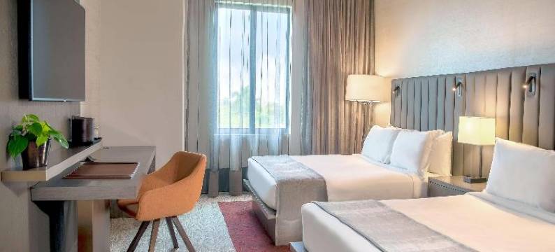 Thesis Miami Coral Gables Curio Collection Hilton图片