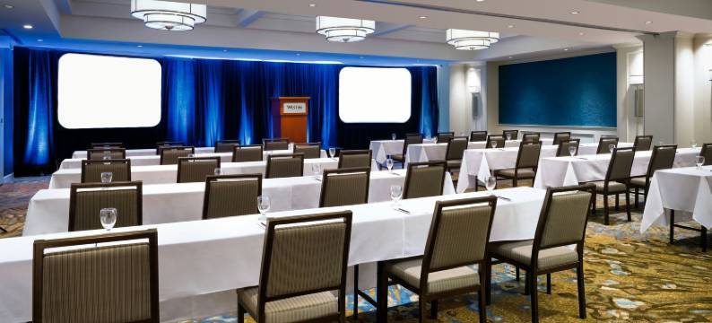 特朗布朗威斯汀度假酒店(Le Westin Tremblant)图片