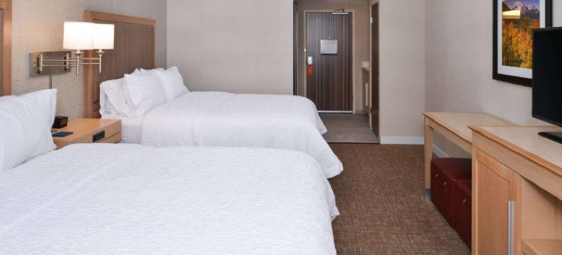 丹佛-斯佩尔大道欢朋套房酒店(Hampton Inn & Suites Denver-Speer Boulevard)图片