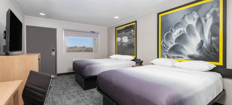 Super 8 BY 温德姆拉伯克机场(Super 8 by Wyndham Lubbock Airport)图片