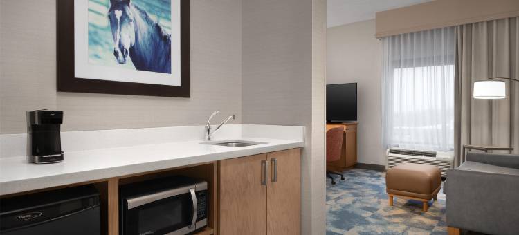 巴尔的摩北-蒂莫尼姆欢朋套房酒店(Hampton Inn & Suites Baltimore North/Timonium, MD)图片