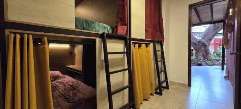索奇米尔科的树之家旅馆(Casa del Árbol Hostel Xochimilco)图片